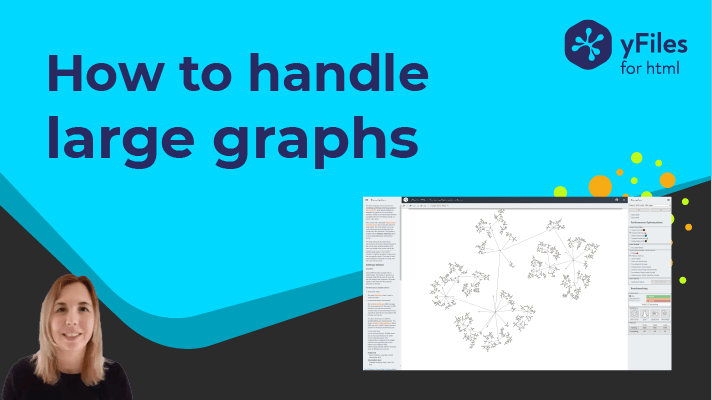 Techniques and tips for displaying and editing very large graphs