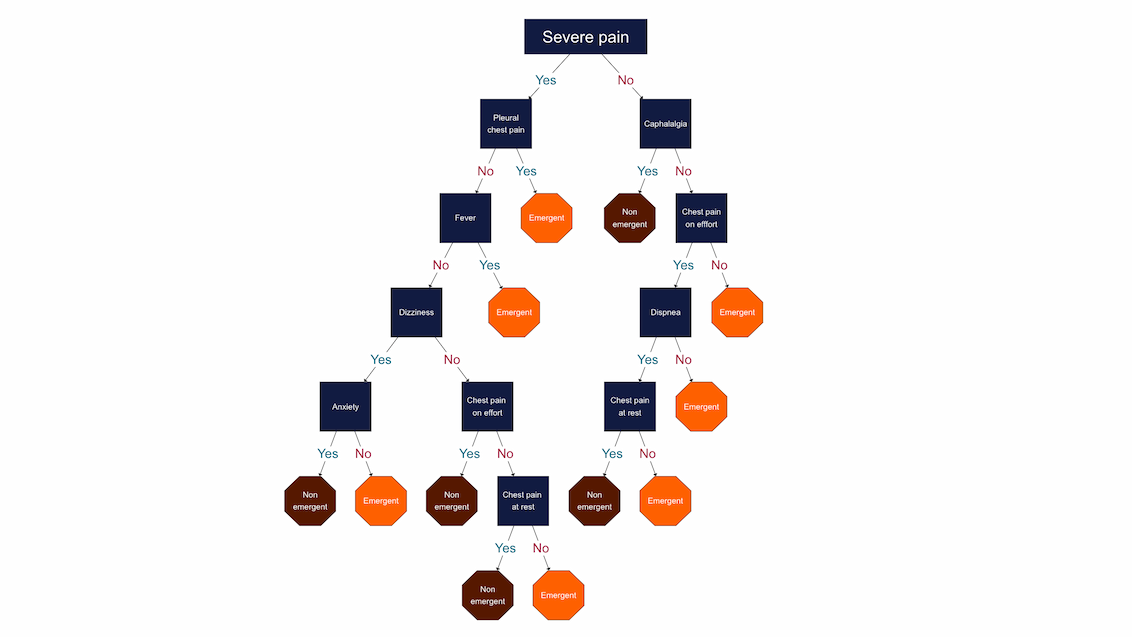 Explore a decision tree designed to efficiently triage patients experiencing severe pain based on predefined criteria.